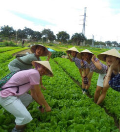 Tra Que Vegetable Village